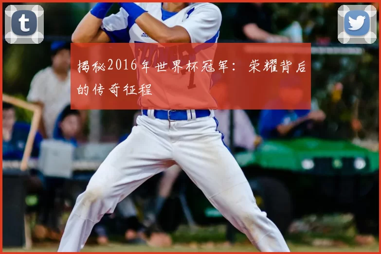 揭秘2016年世界杯冠军：荣耀背后的传奇征程