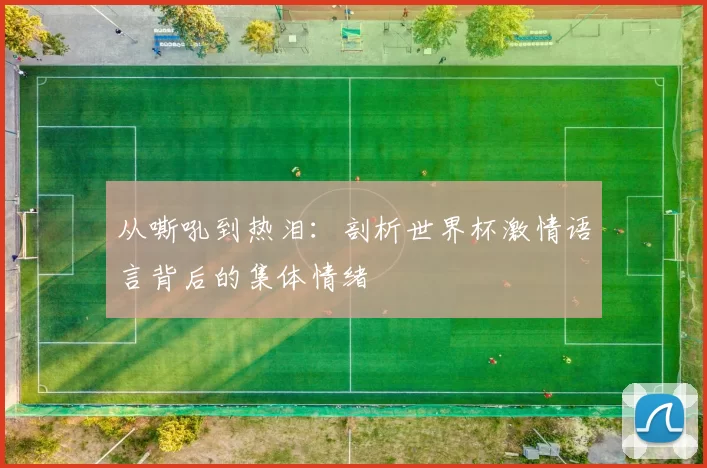 从嘶吼到热泪：剖析世界杯激情语言背后的集体情绪