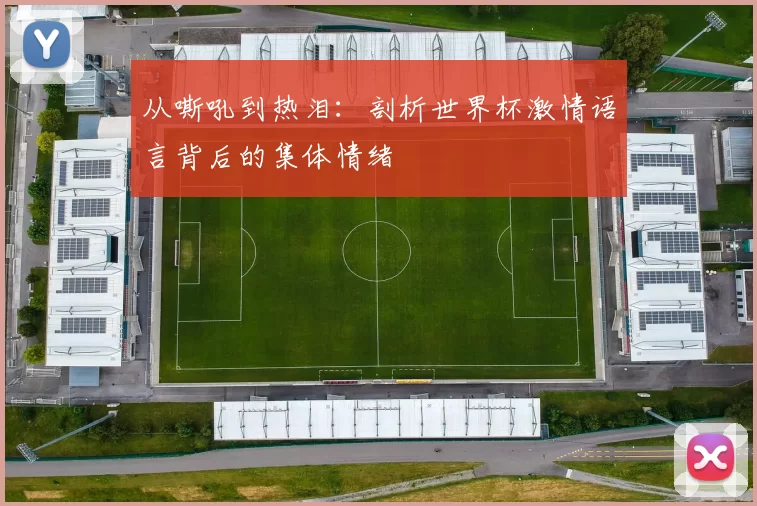 从嘶吼到热泪:剖析世界杯激情语言背后的集体情绪
