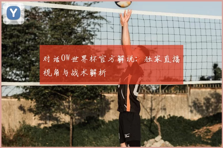 对话OW世界杯官方解说:独家直播视角与战术解析