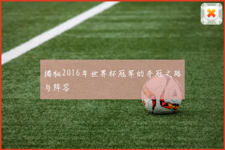 揭秘2016年世界杯冠军的夺冠之路与阵容