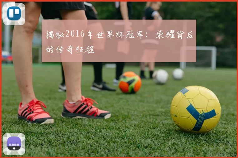 揭秘2016年世界杯冠军:荣耀背后的传奇征程