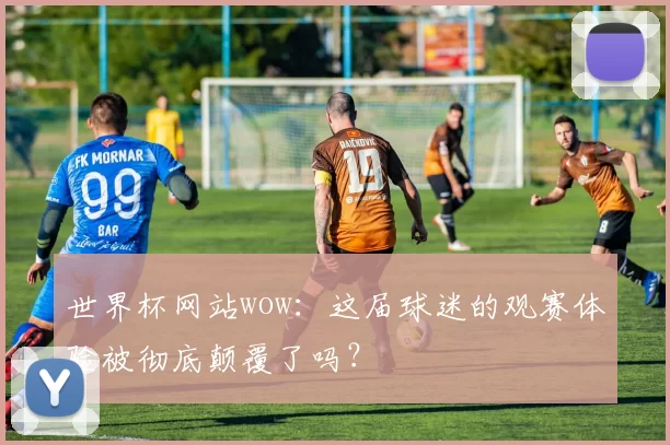世界杯网站wow:这届球迷的观赛体验被彻底颠覆了吗?